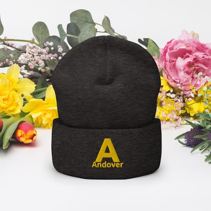 Andover Beanie