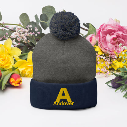 Andover Pom-Pom Beanie