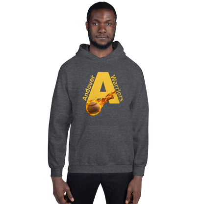 Warriors Baseball Hoodie