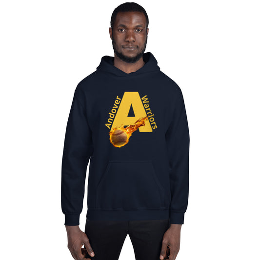 Warriors Baseball Hoodie